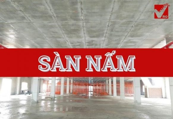 sàn nấm