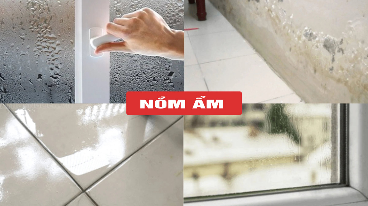 Hiện tượng nồm ẩm