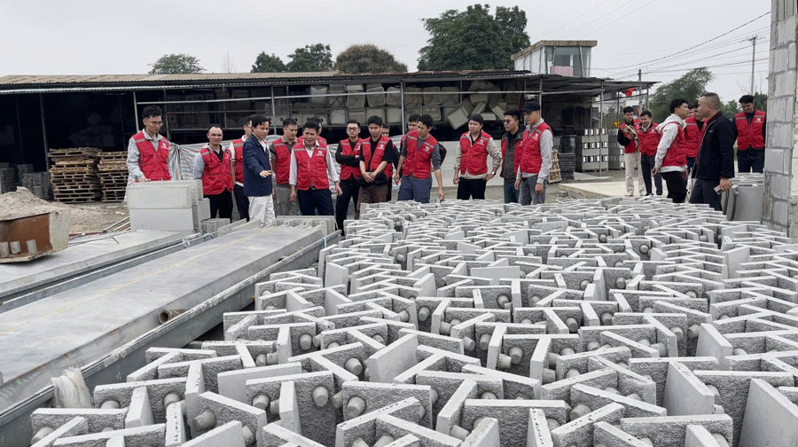 VRO Group du xuân 2026